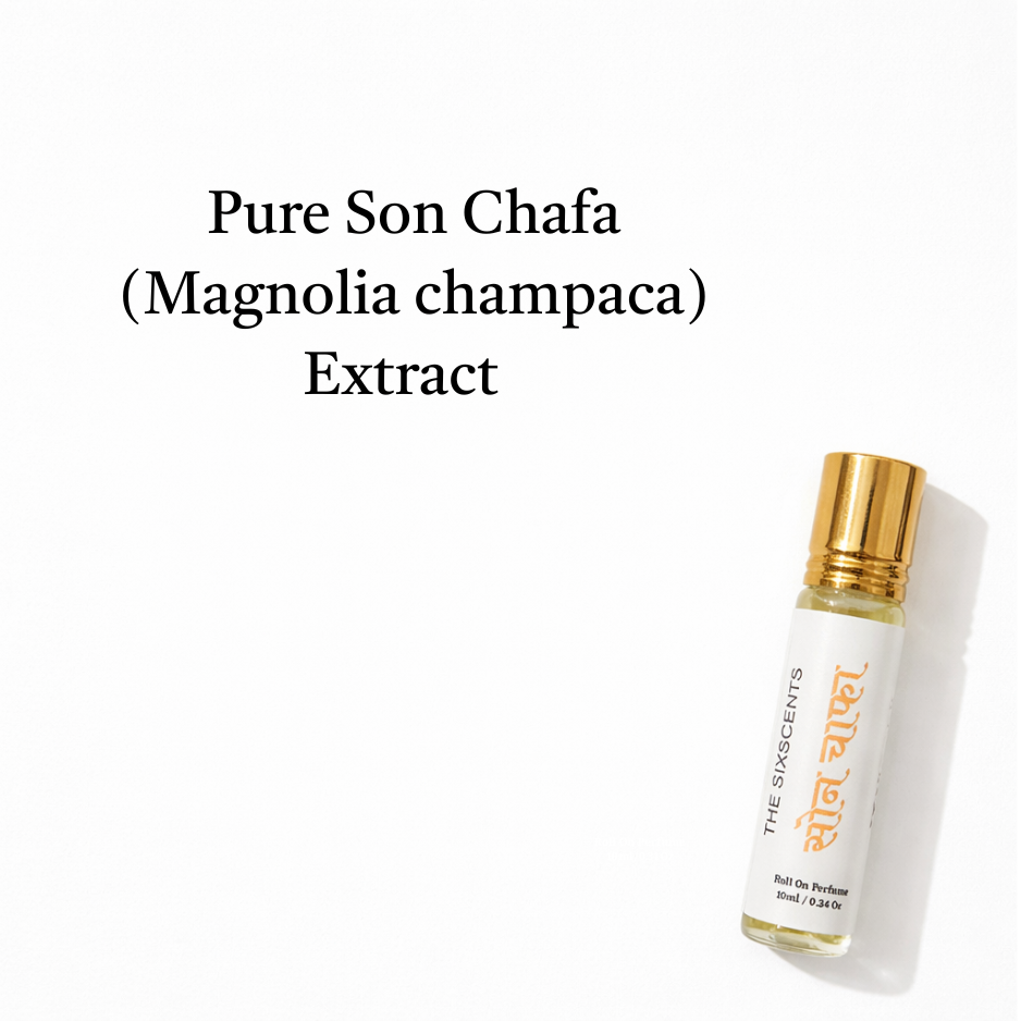 Son Chafa ( सोन चाफा )